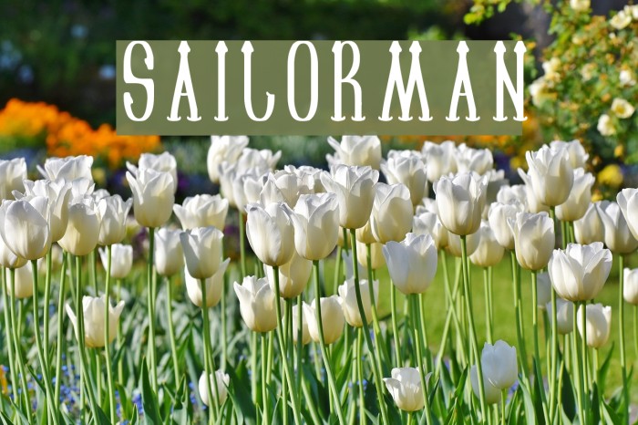 SAILORMAN Font examples