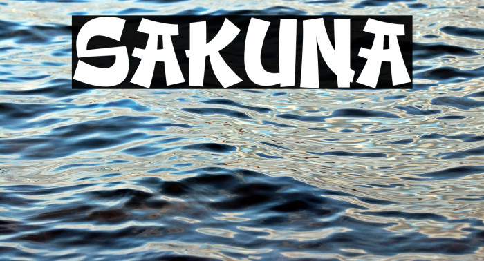 SAKUNA Example 1