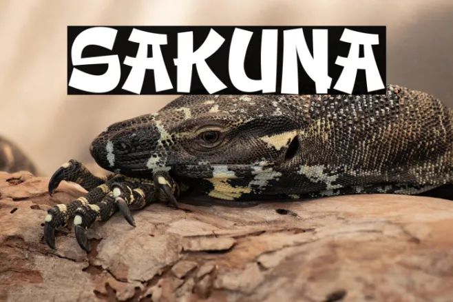 SAKUNA Example 2
