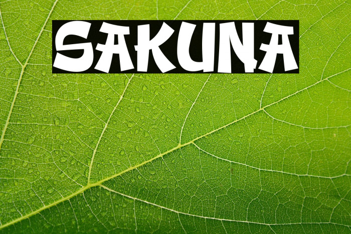 SAKUNA Example 3