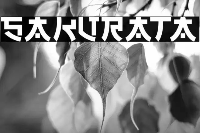 SAKURATA Font examples