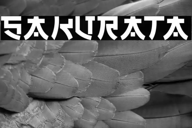 SAKURATA Font examples