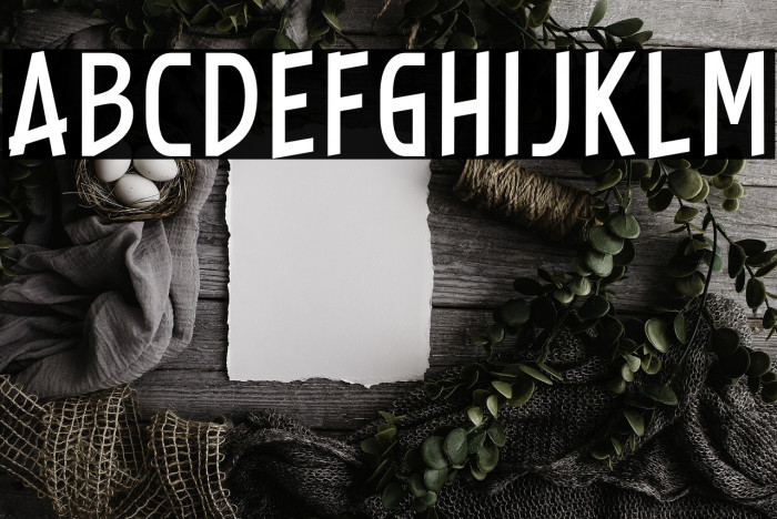 SALAMANDER Example 1