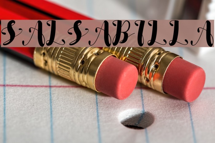 SALSABILLA Polices examples