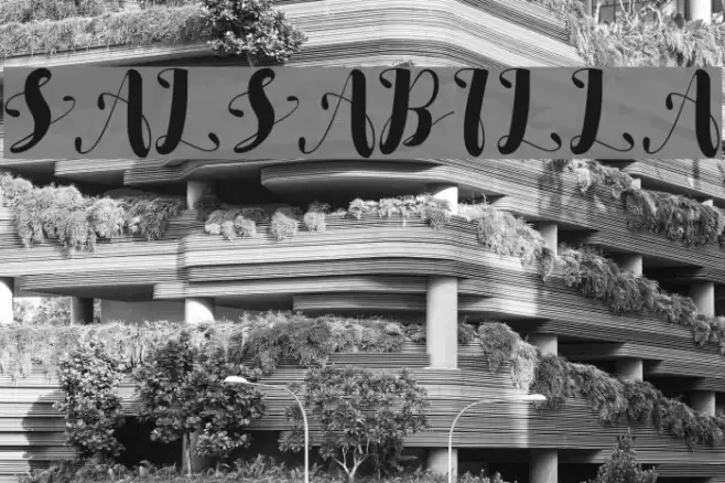 SALSABILLA Font examples