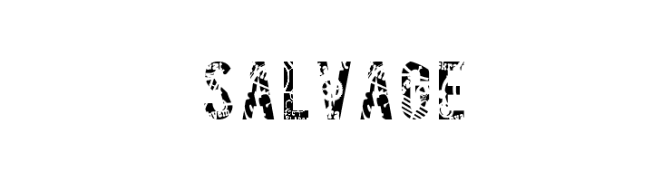 SALVAGE Font