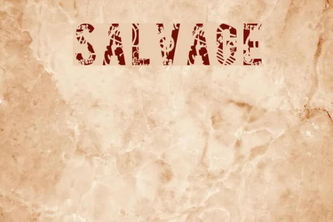 SALVAGE Example 1