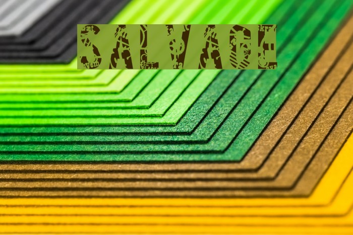 SALVAGE Font examples