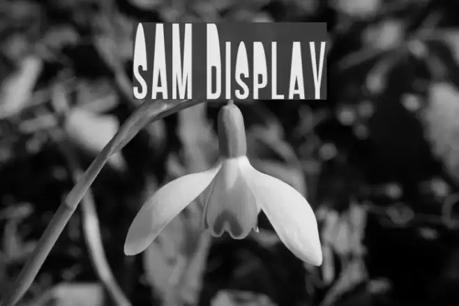 SAM Display Font examples
