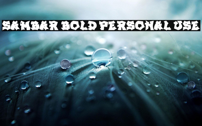 SAMBAR BOLD PERSONAL USE Example 1