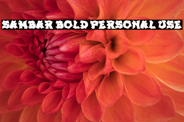 SAMBAR BOLD PERSONAL USE Example 2