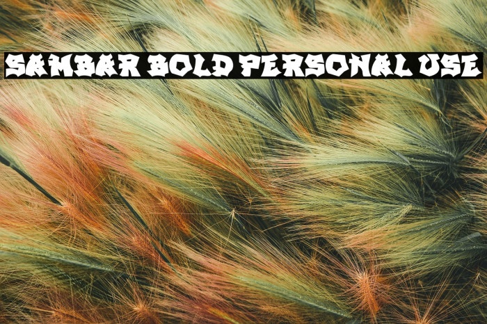 SAMBAR BOLD PERSONAL USE Example 3