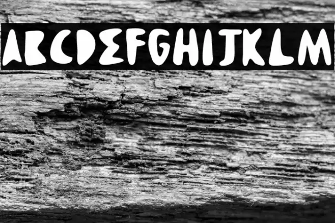 SANCHEZ Font examples