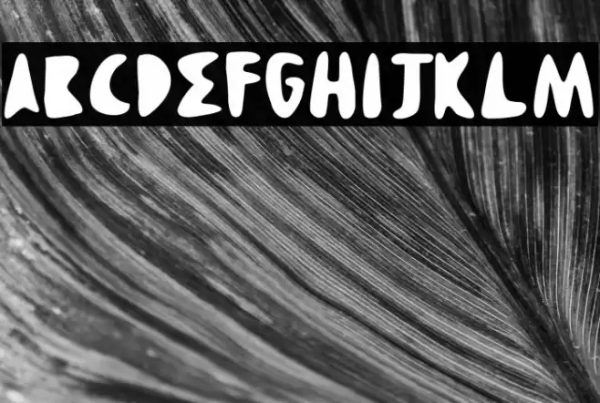 SANCHEZ Font examples