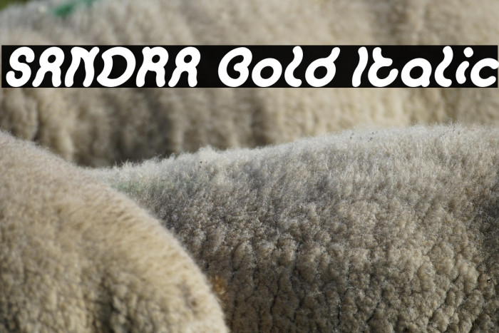 SANDRA Bold Italic Example 3