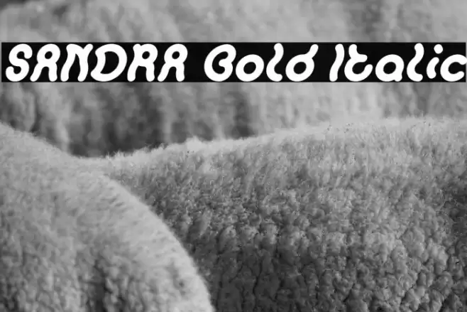 SANDRA Bold Italic Font examples