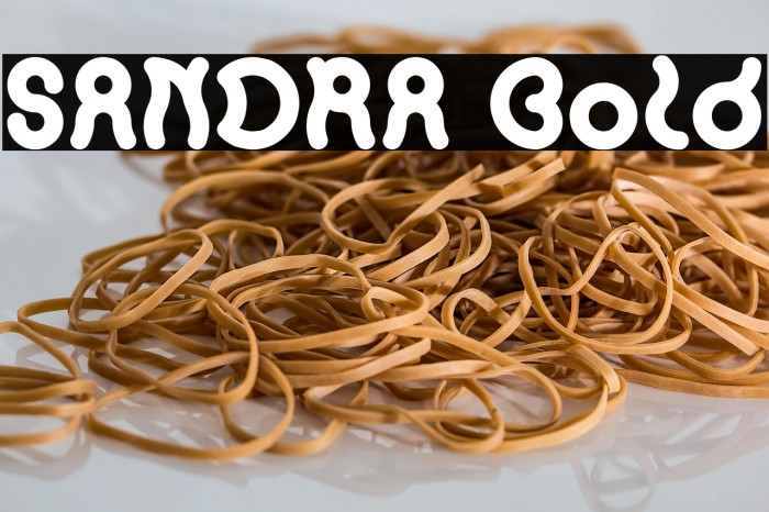 SANDRA Bold Example 1