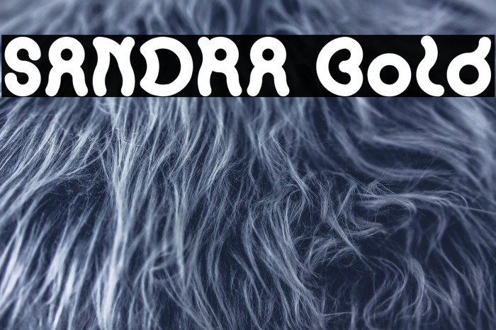 SANDRA Bold Example 2