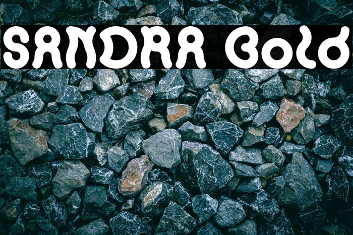 SANDRA Bold Example 3