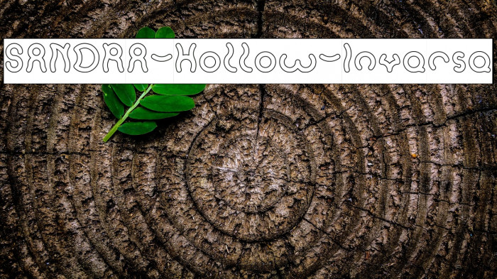 SANDRA-Hollow-Inverse Example 1