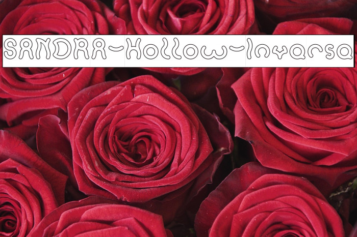 SANDRA-Hollow-Inverse Example 2