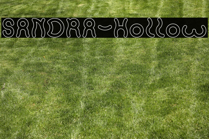 SANDRA-Hollow Example 1