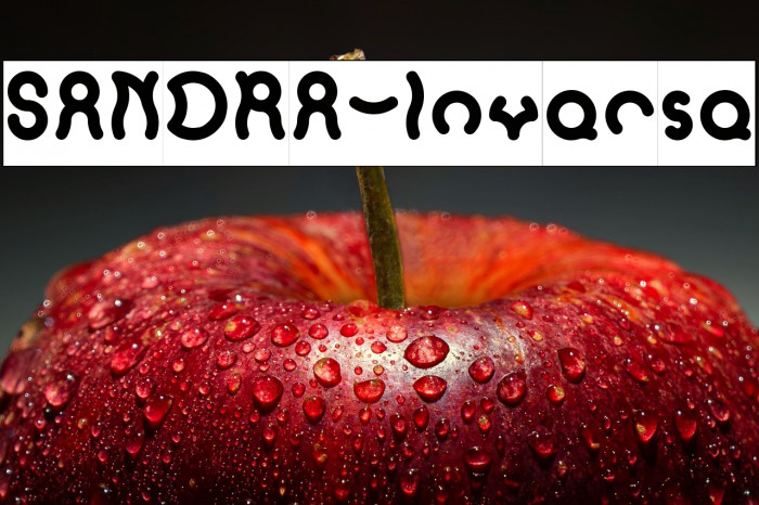 SANDRA-Inverse Example 1