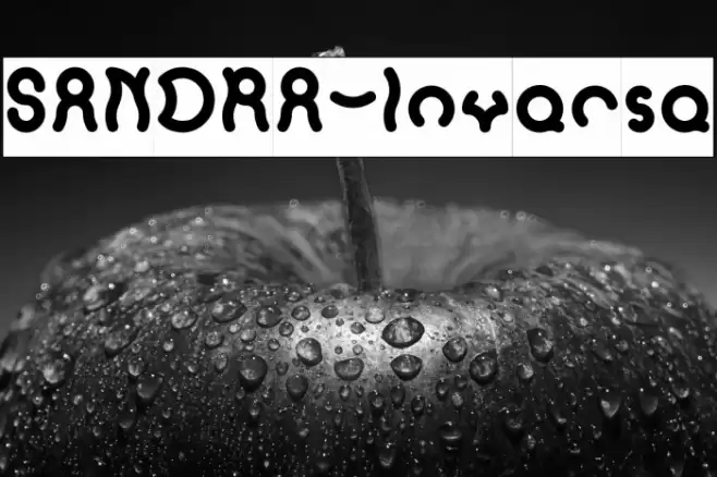 SANDRA-Inverse Font examples