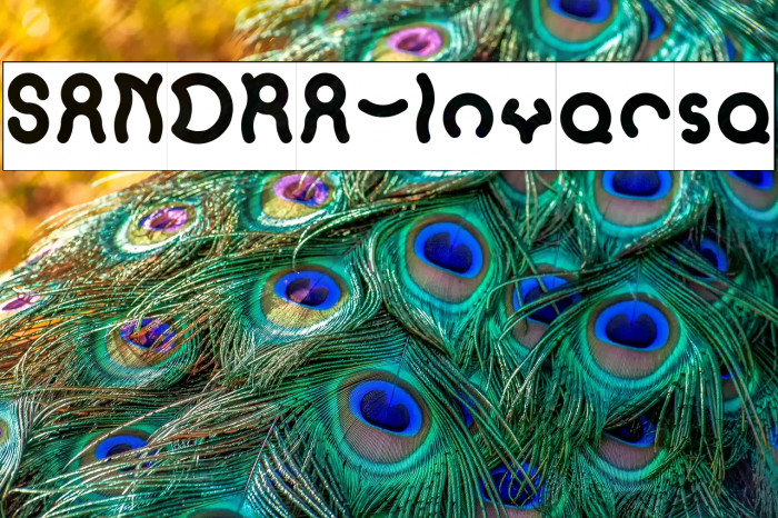 SANDRA-Inverse Example 3