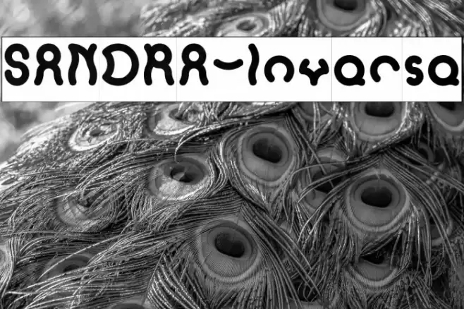 SANDRA-Inverse Font examples