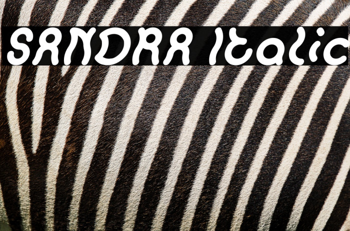 SANDRA Italic Example 1