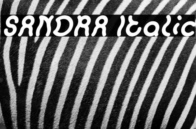 SANDRA Italic Font examples