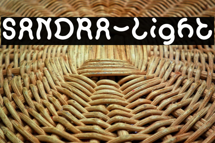 SANDRA-Light Example 1