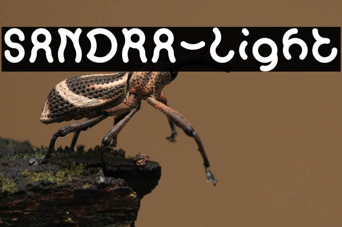 SANDRA-Light Example 2