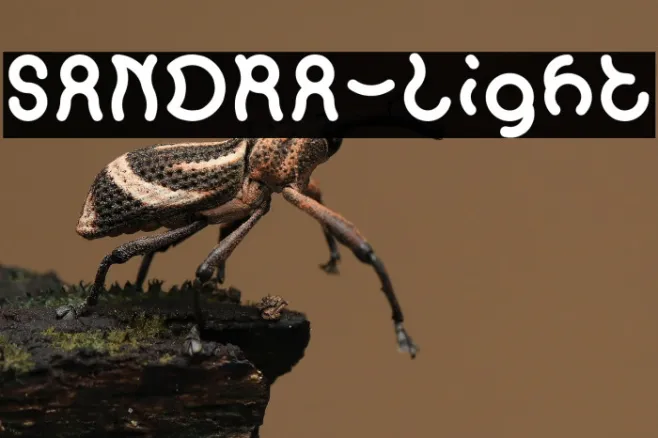 SANDRA-Light Example 2