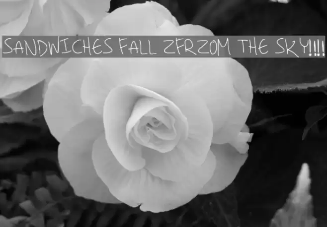 SANDWICHES FALL ZFRZOM THE SKY!! Font examples