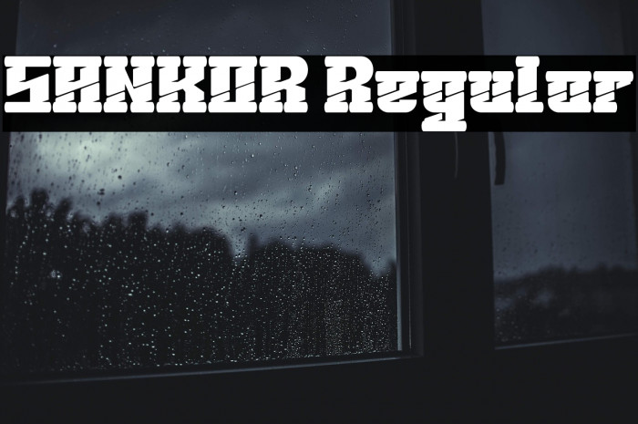 SANKOR Regular Example 1