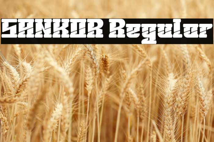 SANKOR Regular Example 2