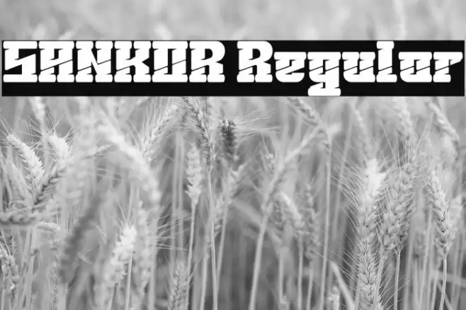 SANKOR Regular Font examples