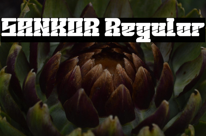 SANKOR Regular Example 3