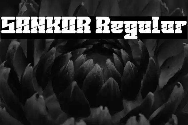 SANKOR Regular Font examples