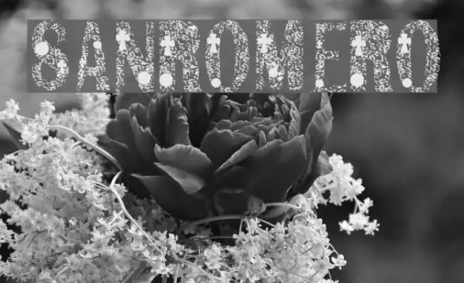 SANROMERO Font examples