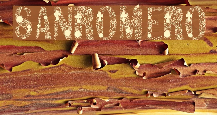 SANROMERO Font examples