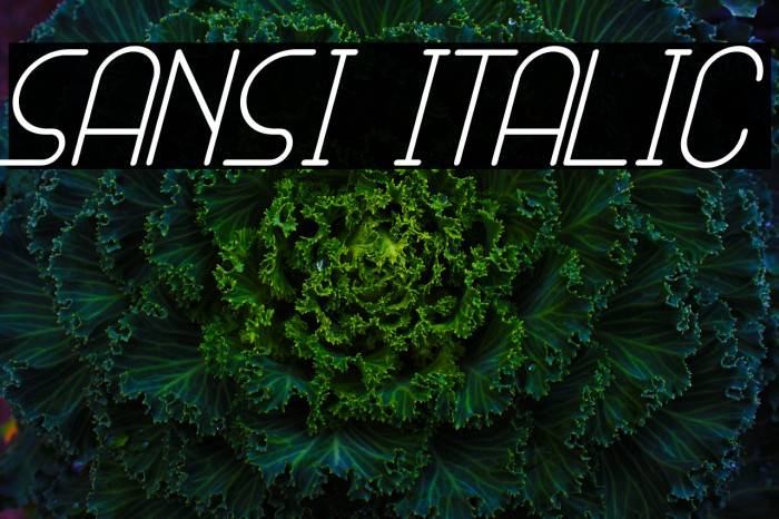 SANSI Italic Example 1