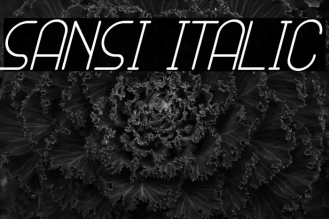 SANSI Italic Font examples