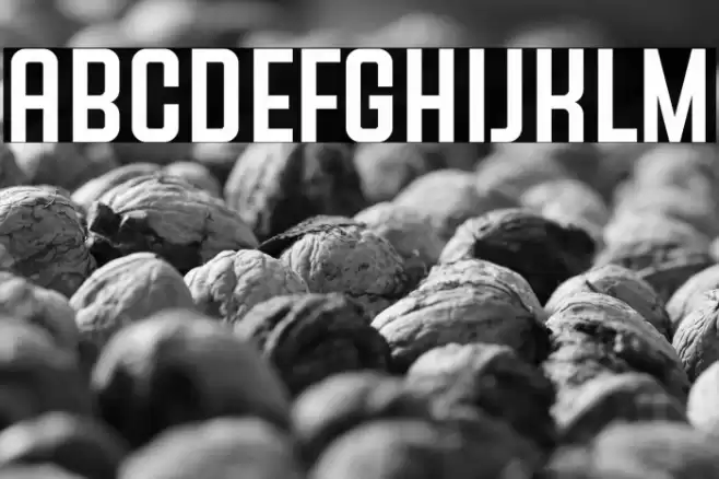 SANSON Font examples