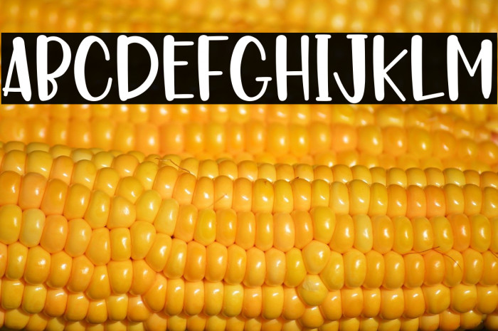 SANTA IN CHRISTMAS Example 1