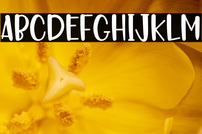 SANTA IN CHRISTMAS Example 2