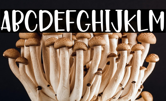 SANTA IN CHRISTMAS Example 3