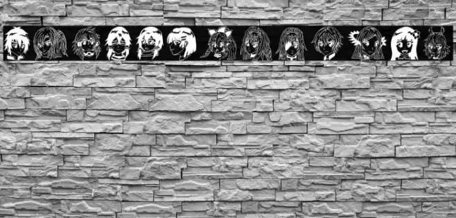 SAO Image Bold Font examples